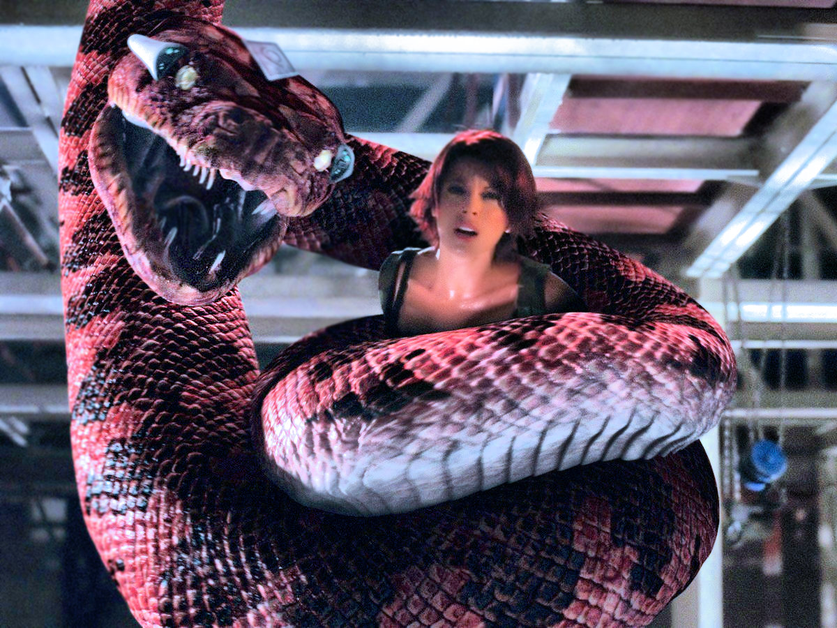 Boa vs Python
Keywords: boa_vs_python_img