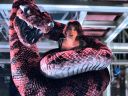 Boa-vs-Python-01.jpg