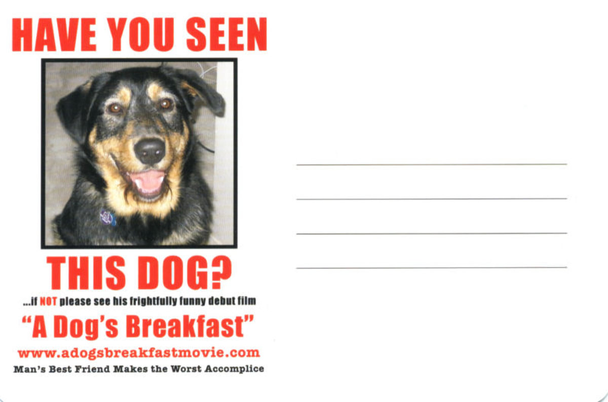 A Dog's Breakfast - Promo Postcard - Back
Keywords: dogs_breakfast_media