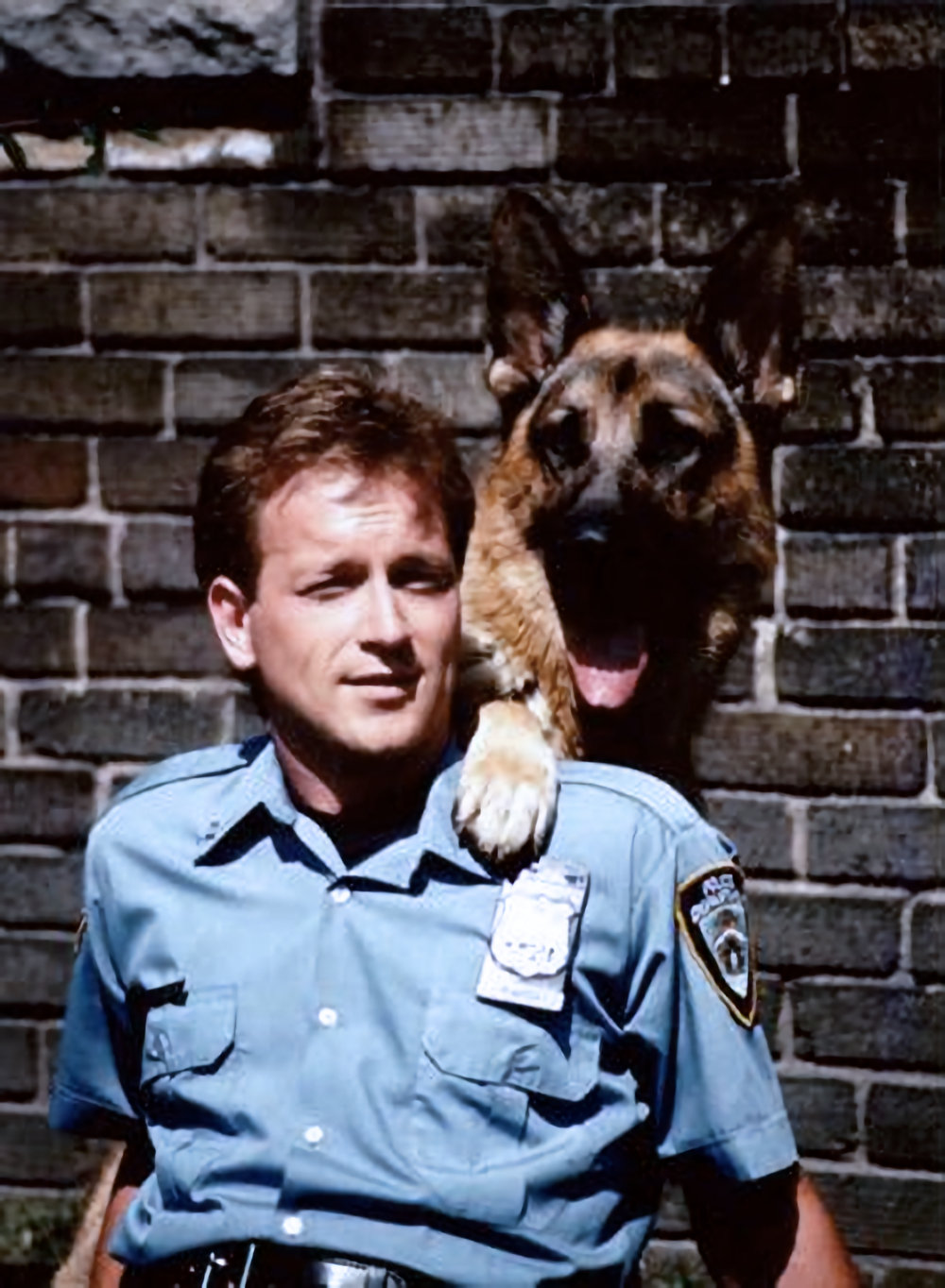 Rin Tin Tin K9 Cop - aka Katts and Dog - 01
Keywords: rin_tin_tin_k9_cop_img