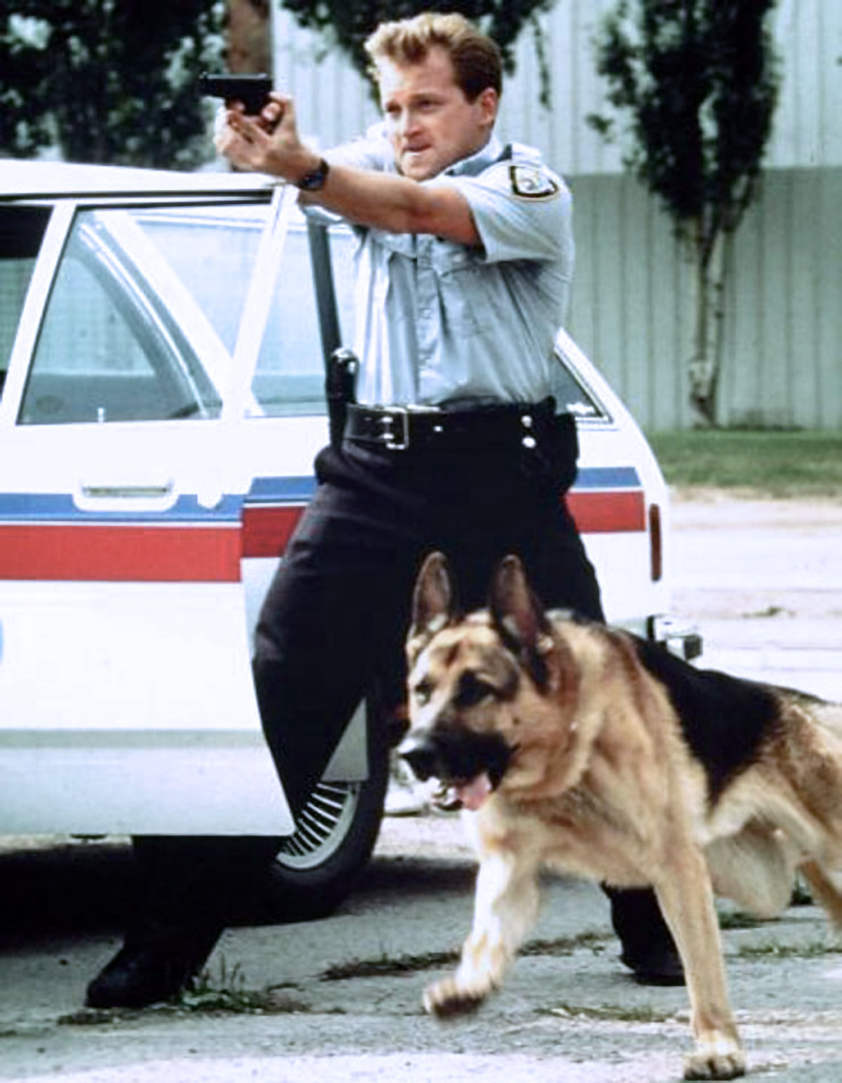 Rin Tin Tin K9 Cop - aka Katts and Dog - 03
Keywords: rin_tin_tin_k9_cop_img