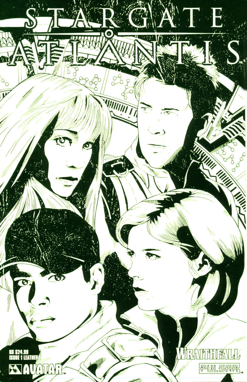 Wraithfall - Issue 2 - Leather - Front
Keywords: media_cover;