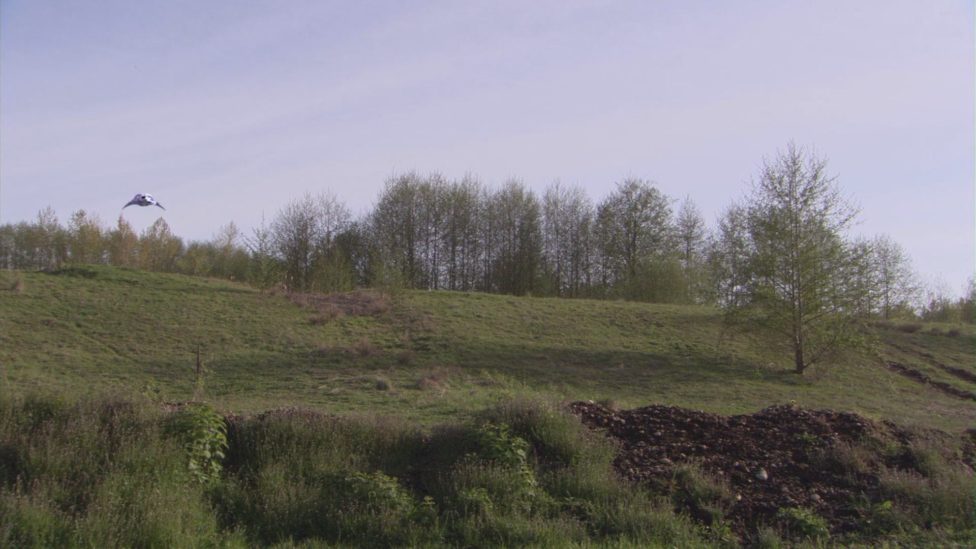 sg atlantis0204 0054
