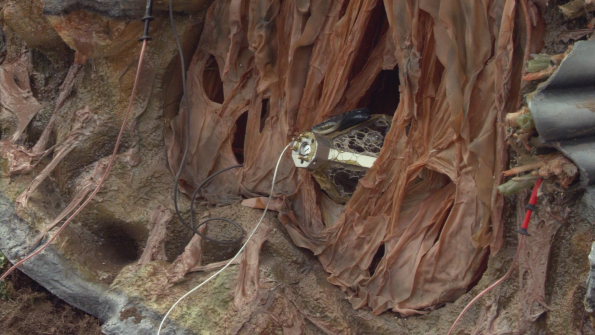 sg atlantis0204 0119
