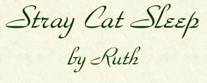 Stray Cat Sleep by Ruth