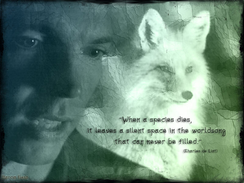 Alex and the Fox by Marcia Elena
Keywords: xfiles_art