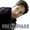 Fox Mulder - The X-Files icon 10 by Tarlan
Keywords: icons;xfiles_ico