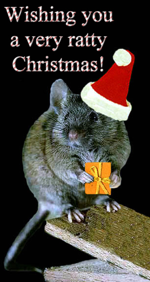Wishing You A Ratty Christmas
Keywords: xfiles_art