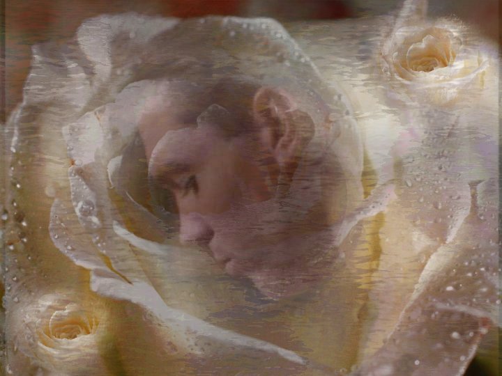 Rose
Keywords: candid_art